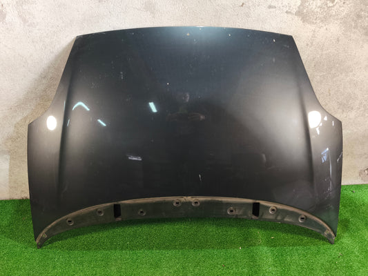 Capo Fiat grande Punto